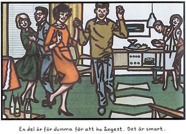 stenis_dumma.jpg